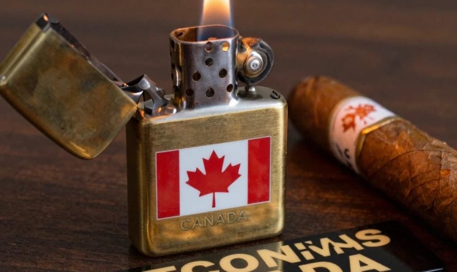 Exclusive Crypto Casino Canada with Welcome Bonus A Comprehensive Guide