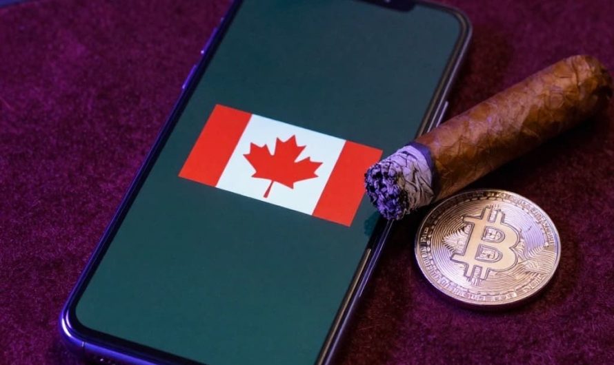 Reliable Crypto Casino Canada for Canadian Players A Comprehensive Guide