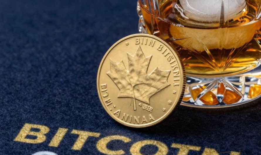 Innovative Ethereum Betting Casino with No Deposit Bonus in Canada: A Comprehensive Overview