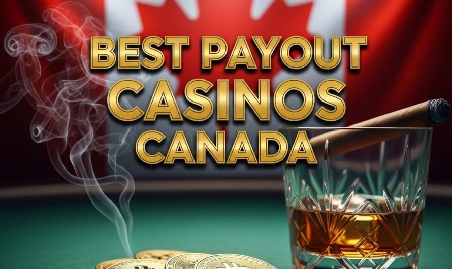 New Online Crypto Slots for High Rollers in Canada A Comprehensive Guide