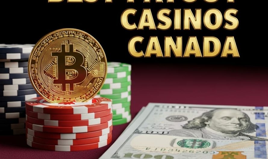 Best Blockchain Crypto Casino with VIP Program in Canada A Comprehensive Guide
