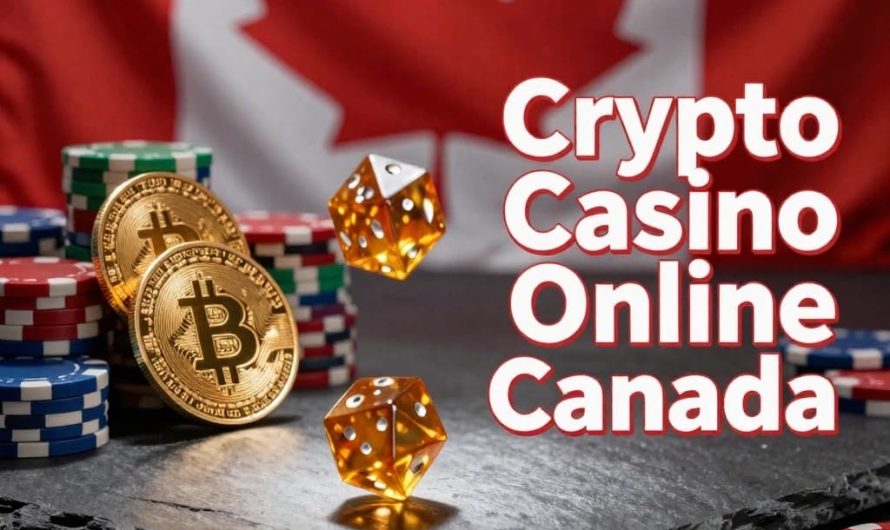 Best Crypto Casino Canada for Beginners