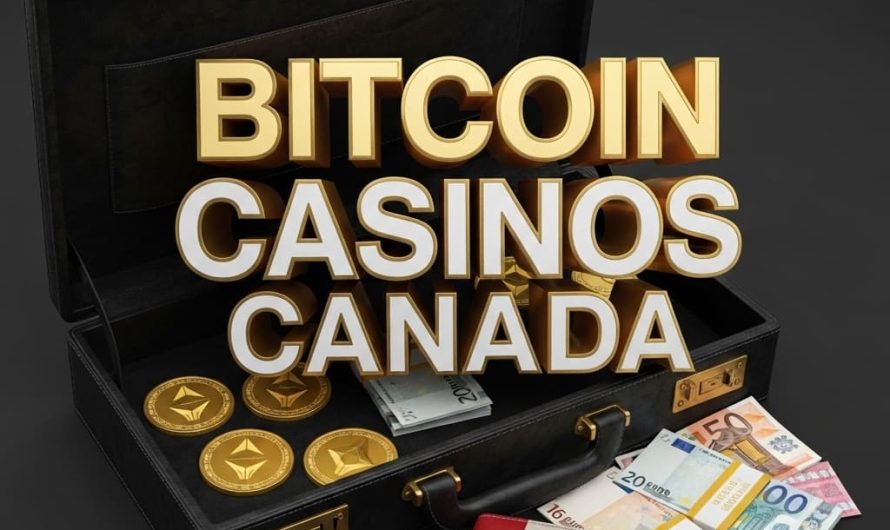 High‑stakes players in Canada are increasingly seeking a gambling experience that blends privacy, security, and unrestricted play