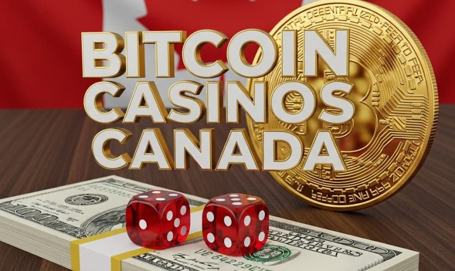 Canadian Crypto Casino The Premier Destination for Enthusiasts
